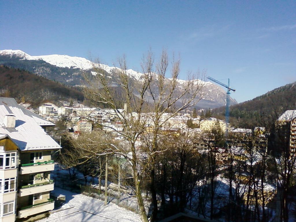 Mountain View Nest Apartment Sinaia Luaran gambar