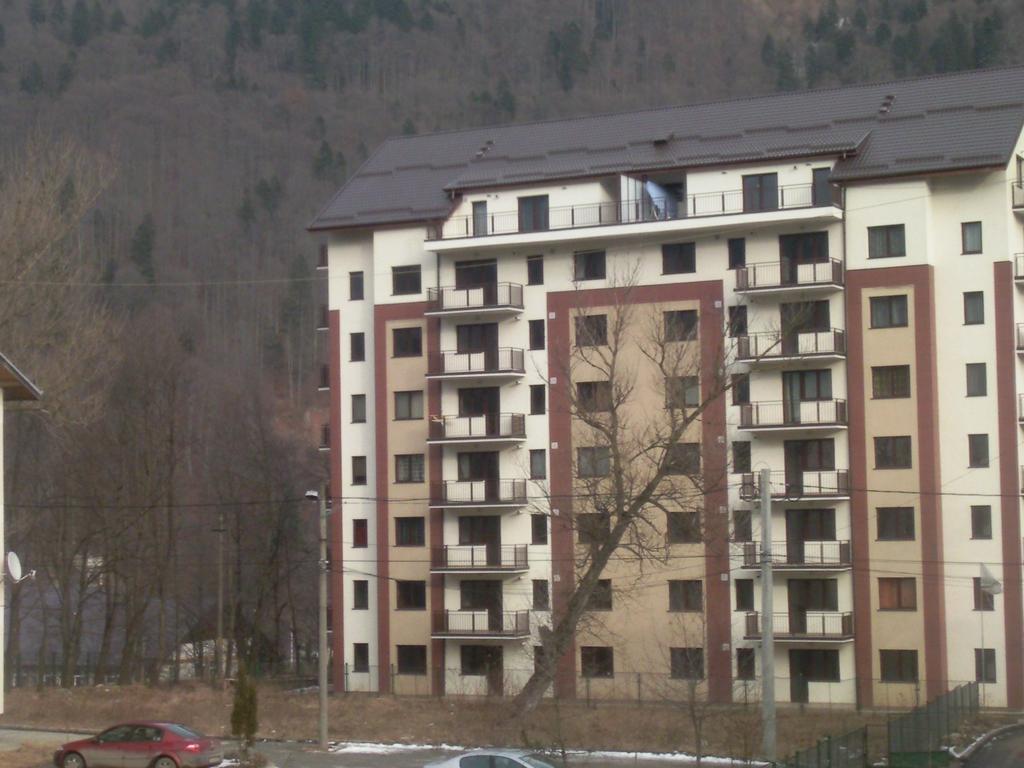 Mountain View Nest Apartment Sinaia Luaran gambar